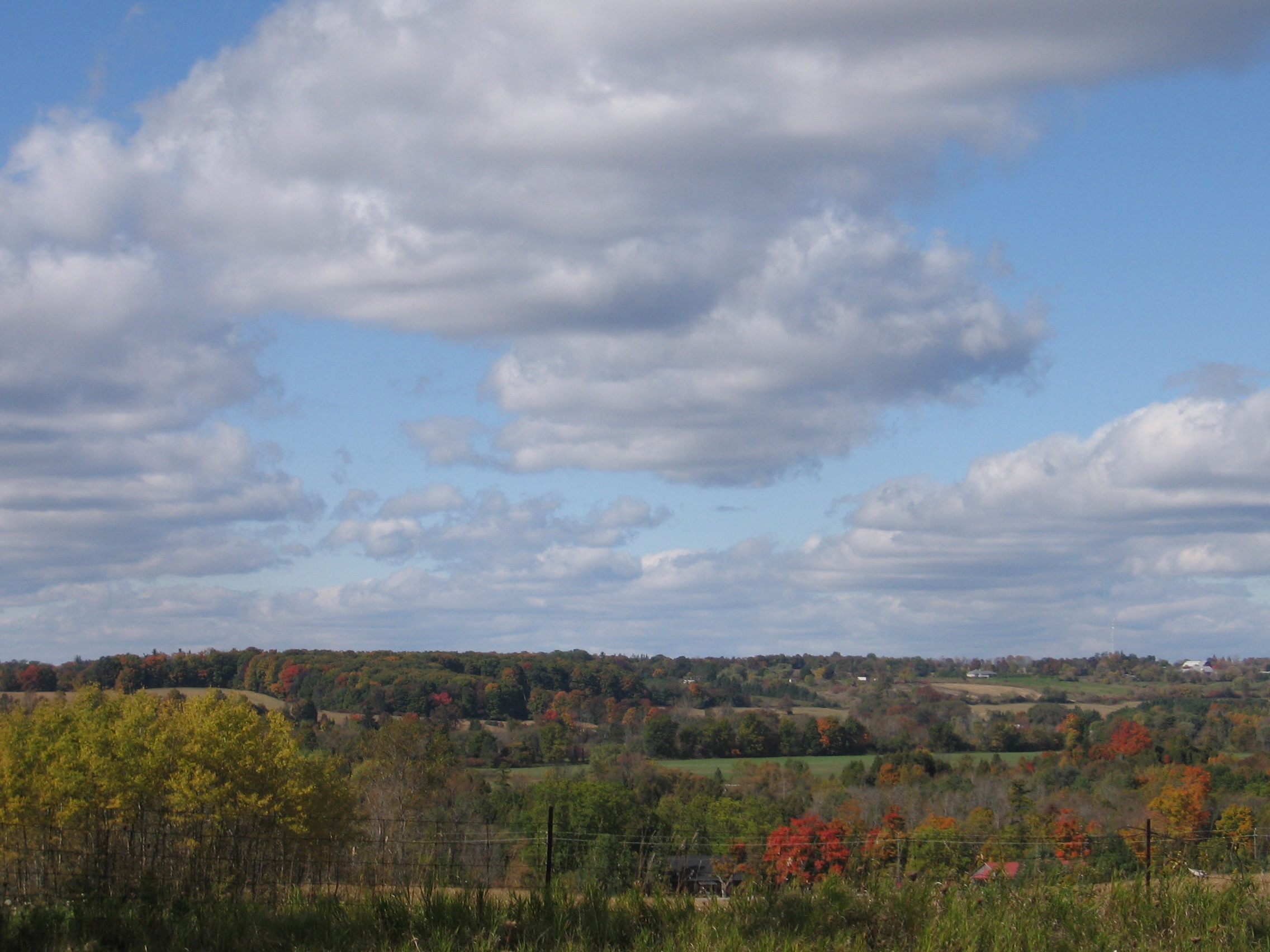 Ontario Countryside