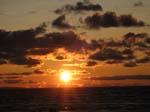 IMG_1541