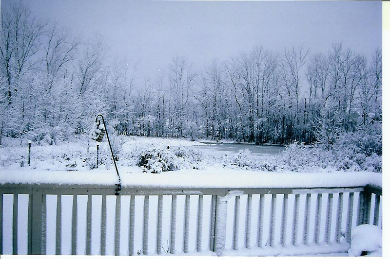 Mary's Yard 003